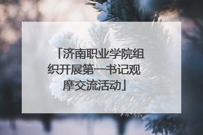济南职业学院组织开展第一书记观摩交流活动