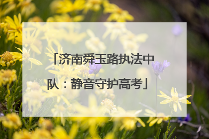 济南舜玉路执法中队：静音守护高考