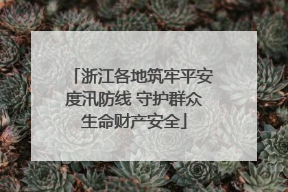 浙江各地筑牢平安度汛防线 守护群众生命财产安全