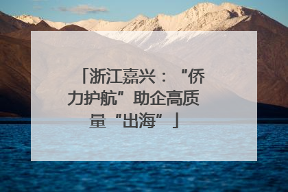 浙江嘉兴：“侨力护航”助企高质量“出海”
