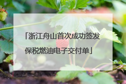 浙江舟山首次成功签发保税燃油电子交付单