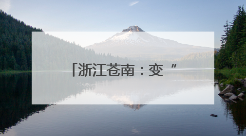 浙江苍南：变“一人一校”为“一团一校” 组团式督导督出学校发展加速度