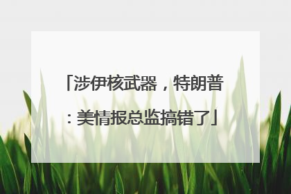 涉伊核武器，特朗普：美情报总监搞错了