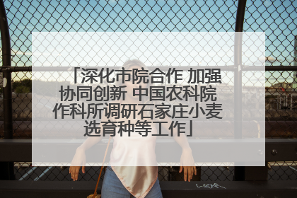 深化市院合作 加强协同创新 中国农科院作科所调研石家庄小麦选育种等工作