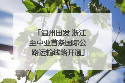 温州出发 浙江至中亚首条国际公路运输线路开通