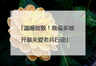 温暖致敬！我省多地开展关爱老兵行动