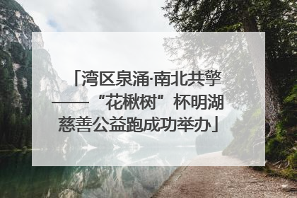 湾区泉涌·南北共擎——“花楸树”杯明湖慈善公益跑成功举办