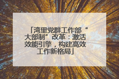 湾里党群工作部“大部制”改革：激活效能引擎，构建高效工作新格局