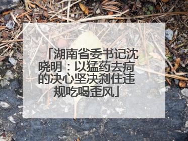 湖南省委书记沈晓明：以猛药去疴的决心坚决刹住违规吃喝歪风