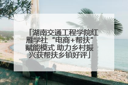 湖南交通工程学院红雁学社“电商+帮扶”赋能模式 助力乡村振兴获帮扶乡镇好评