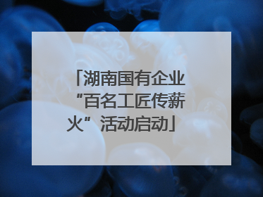 湖南国有企业“百名工匠传薪火”活动启动