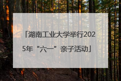 湖南工业大学举行2025年“六一”亲子活动