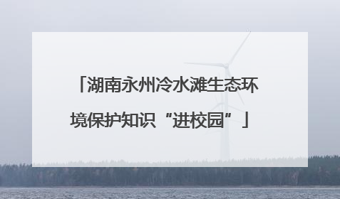 湖南永州冷水滩生态环境保护知识“进校园”