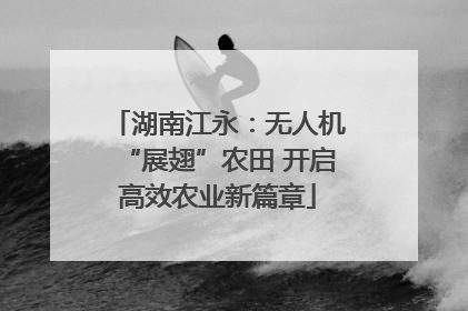 湖南江永：无人机“展翅”农田 开启高效农业新篇章