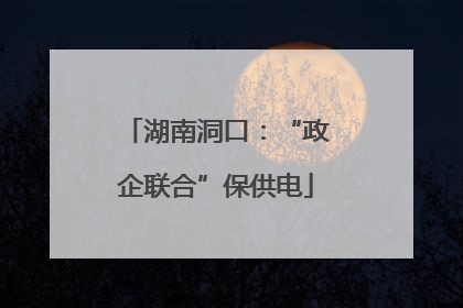 湖南洞口：“政企联合”保供电