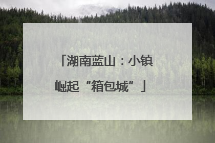 湖南蓝山：小镇崛起“箱包城”