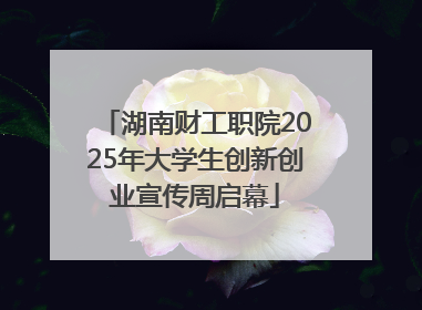 湖南财工职院2025年大学生创新创业宣传周启幕