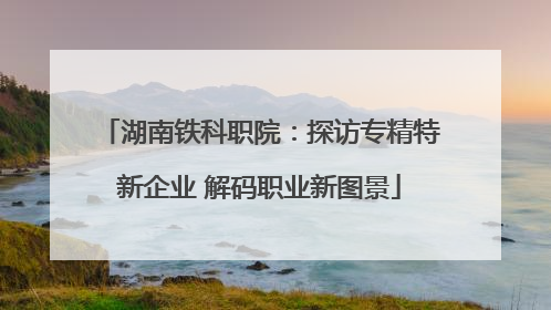 湖南铁科职院：探访专精特新企业 解码职业新图景