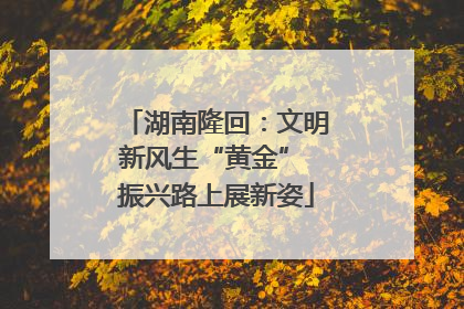 湖南隆回：文明新风生“黄金” 振兴路上展新姿