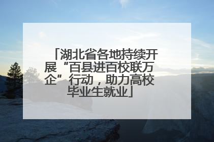 湖北省各地持续开展“百县进百校联万企”行动，助力高校毕业生就业