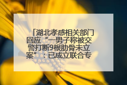 湖北孝感相关部门回应“一男子称被交警打断9根肋骨未立案”：已成立联合专班开展工作