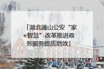 湖北通山公安“家+智慧”改革推进政务服务提质增效