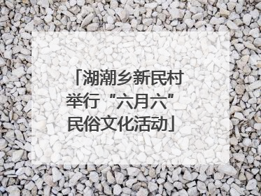 湖潮乡新民村举行“六月六”民俗文化活动
