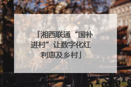湘西联通“国补进村”让数字化红利惠及乡村