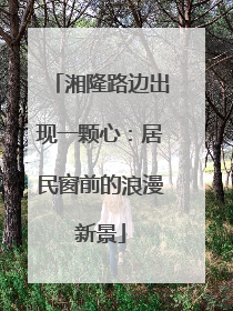 湘隆路边出现一颗心：居民窗前的浪漫新景