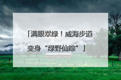 满眼翠绿！威海步道变身“绿野仙踪”