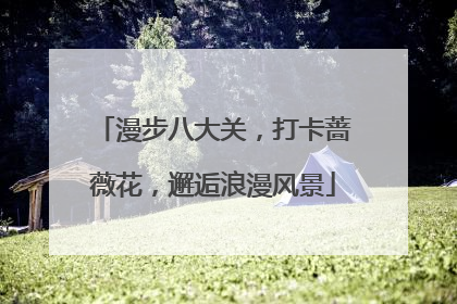 漫步八大关，打卡蔷薇花，邂逅浪漫风景