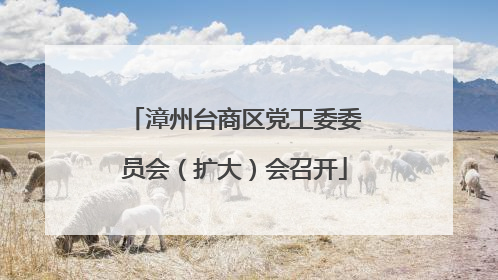 漳州台商区党工委委员会（扩大）会召开
