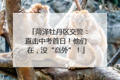 菏泽牡丹区交警：直击中考首日！他们在，没“意外”！