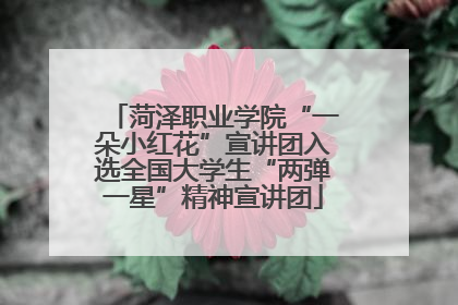 菏泽职业学院“一朵小红花”宣讲团入选全国大学生“两弹一星”精神宣讲团