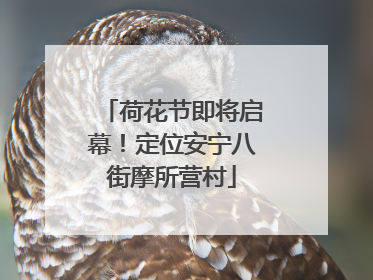 荷花节即将启幕！定位安宁八街摩所营村