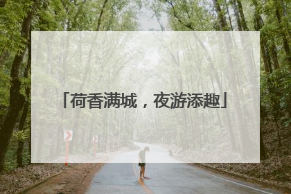 荷香满城，夜游添趣