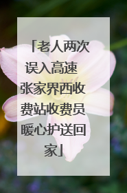 老人两次误入高速 张家界西收费站收费员暖心护送回家