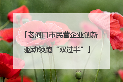 老河口市民营企业创新驱动领跑“双过半”