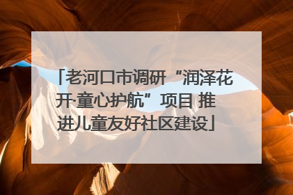 老河口市调研“润泽花开·童心护航”项目 推进儿童友好社区建设