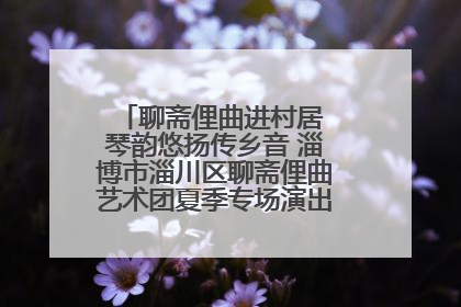 聊斋俚曲进村居 琴韵悠扬传乡音 淄博市淄川区聊斋俚曲艺术团夏季专场演出在杏园子村举行