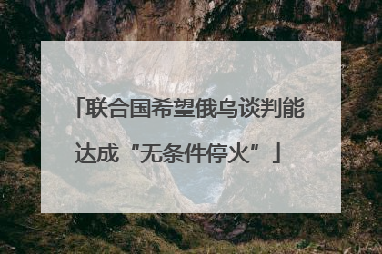 联合国希望俄乌谈判能达成“无条件停火”