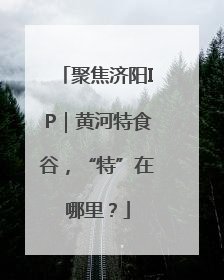 聚焦济阳IP｜黄河特食谷，“特”在哪里？