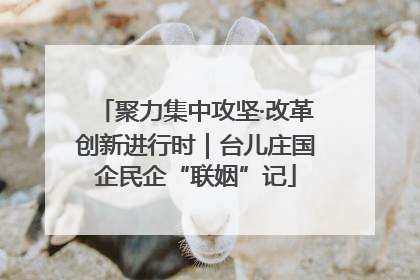 聚力集中攻坚·改革创新进行时｜台儿庄国企民企“联姻”记