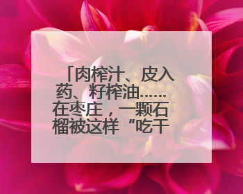 肉榨汁、皮入药、籽榨油……在枣庄，一颗石榴被这样“吃干榨净”