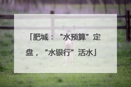 肥城：“水预算”定盘，“水银行”活水