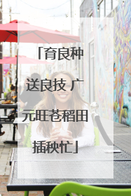 育良种 送良技 广元旺苍稻田插秧忙