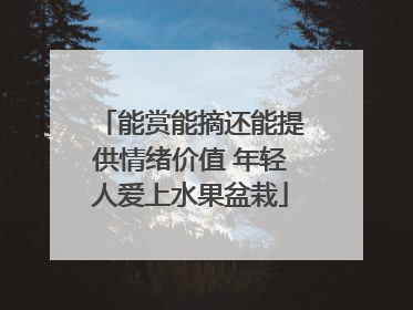 能赏能摘还能提供情绪价值 年轻人爱上水果盆栽