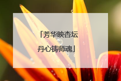 芳华映杏坛 丹心铸师魂