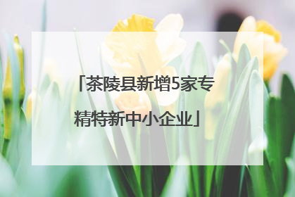 茶陵县新增5家专精特新中小企业