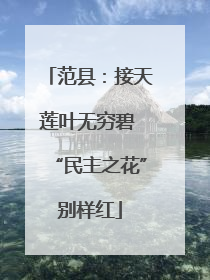 范县：接天莲叶无穷碧 “民主之花”别样红